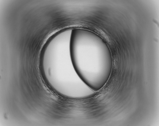 X0000096400724200801241003