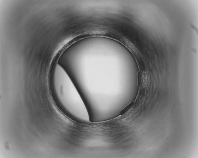 X0000096400726200801241003