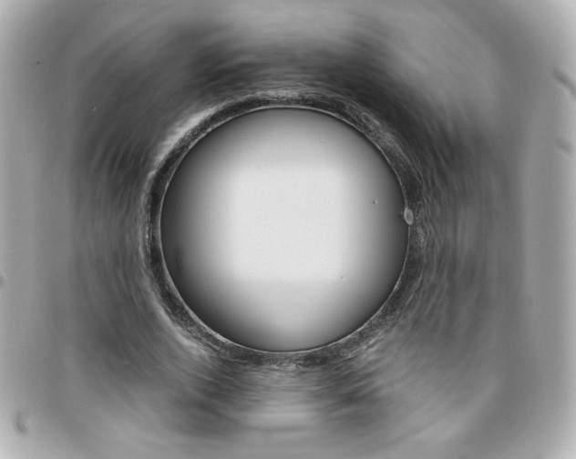 X0000096400728200801241003