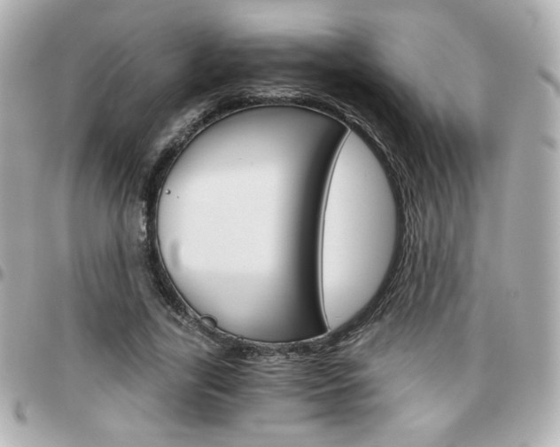 X0000096400731200801241003