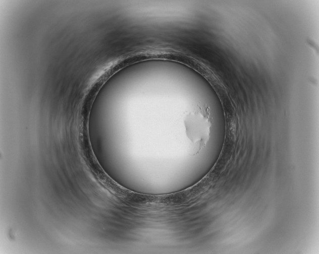 X0000096400732200801241003