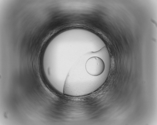 X0000096400734200801241003