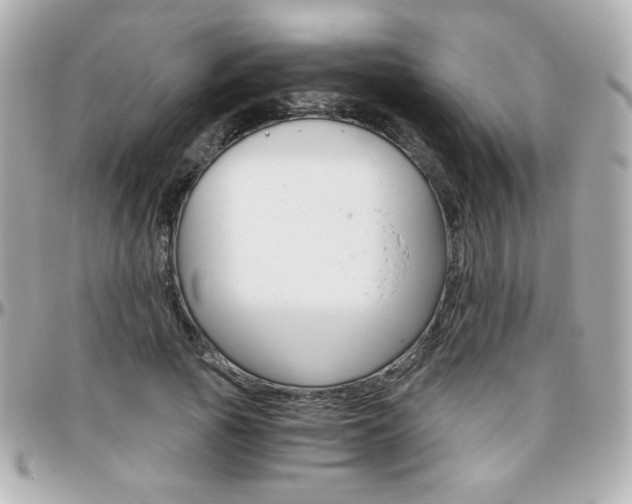 X0000096400737200801241003