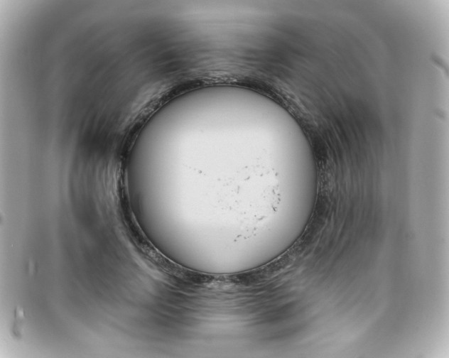 X0000096400742200801241003