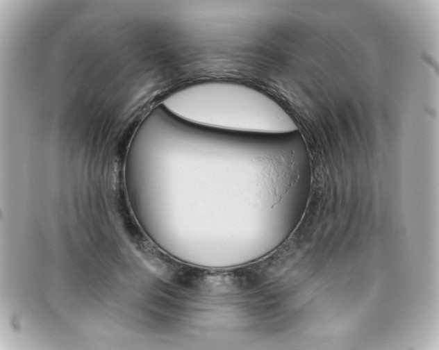 X0000096400744200801241003