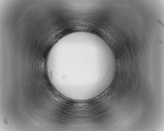 X0000096400745200801241003