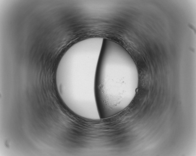 X0000096400747200801241003