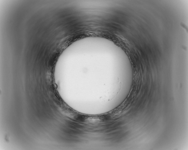 X0000096400749200801241003