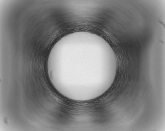 X0000096400750200801241003