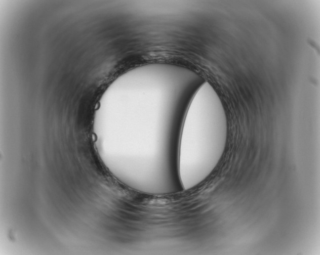 X0000096400751200801241003