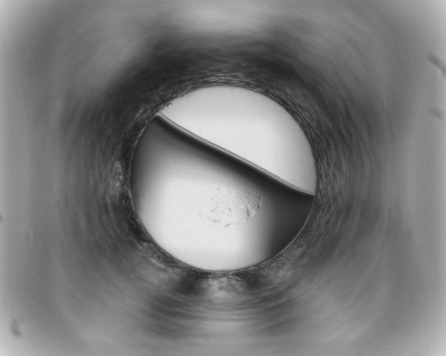 X0000096400752200801241003