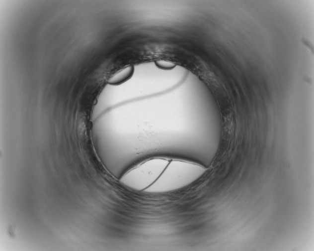 X0000096400754200801241003