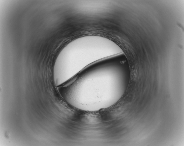 X0000096400756200801241003