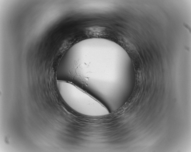 X0000096400760200801241003