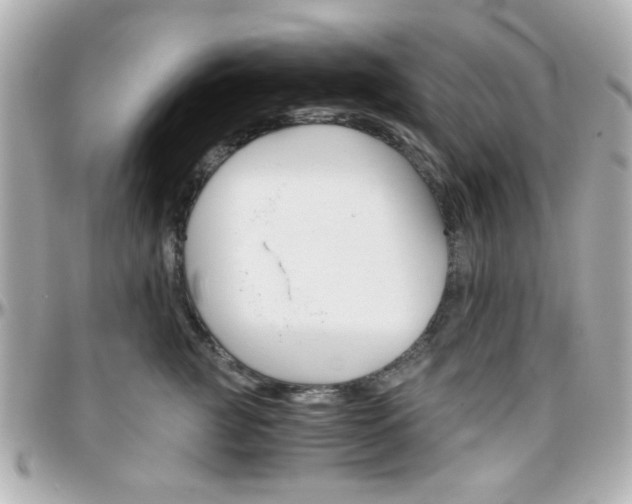 X0000096400761200801241003