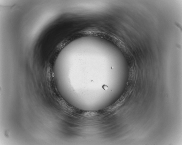 X0000096400762200801241004