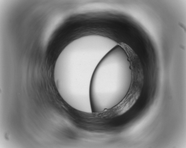 X0000096400766200801241004