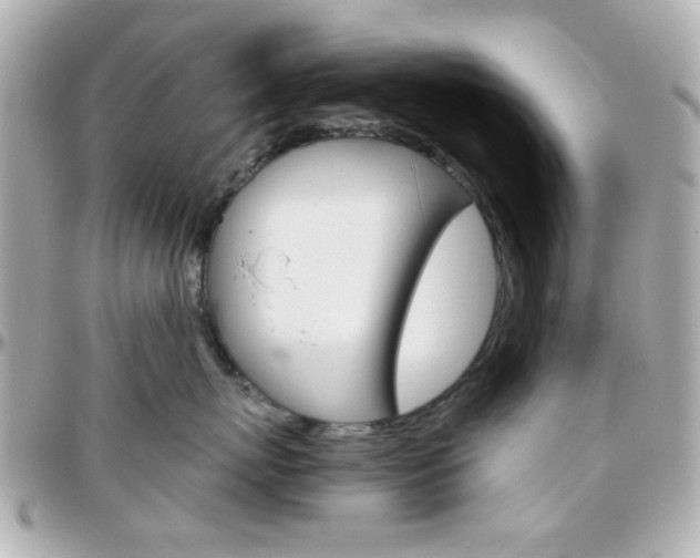 X0000096400767200801241004