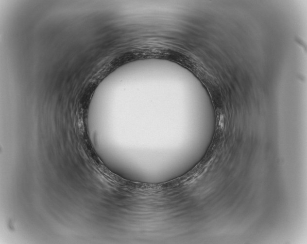 X0000096400771200801241003