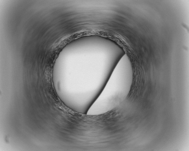 X0000096400773200801241003