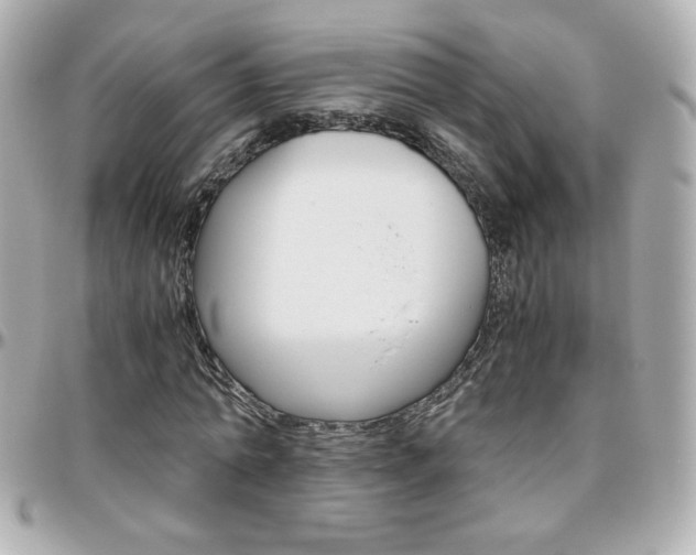 X0000096400774200801241003