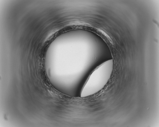 X0000096400775200801241003