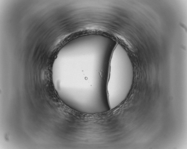 X0000096400776200801241003