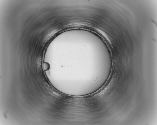 X0000096400778200801241003