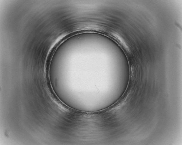 X0000096400780200801241003