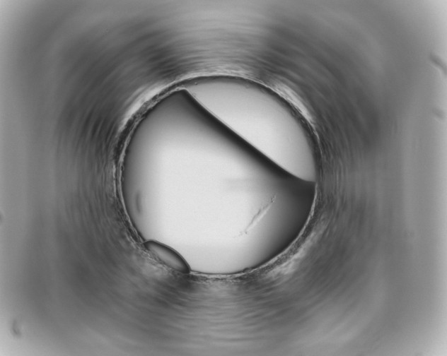 X0000096400781200801241003