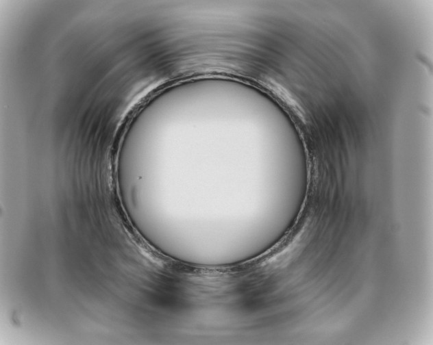 X0000096400782200801241003