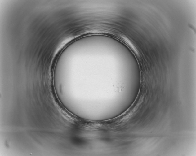X0000096400787200801241003