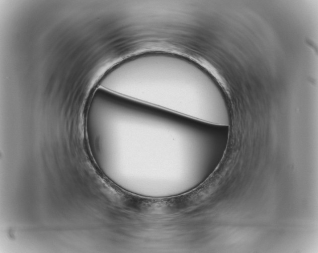 X0000096400791200801241002