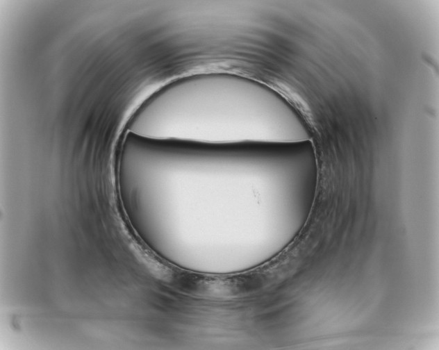 X0000096400792200801241002