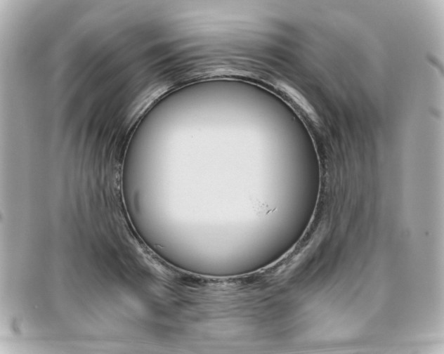 X0000096400793200801241002