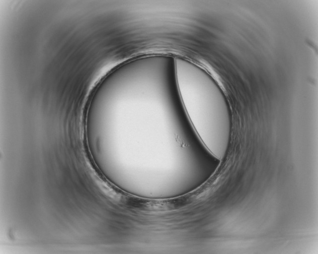 X0000096400795200801241002