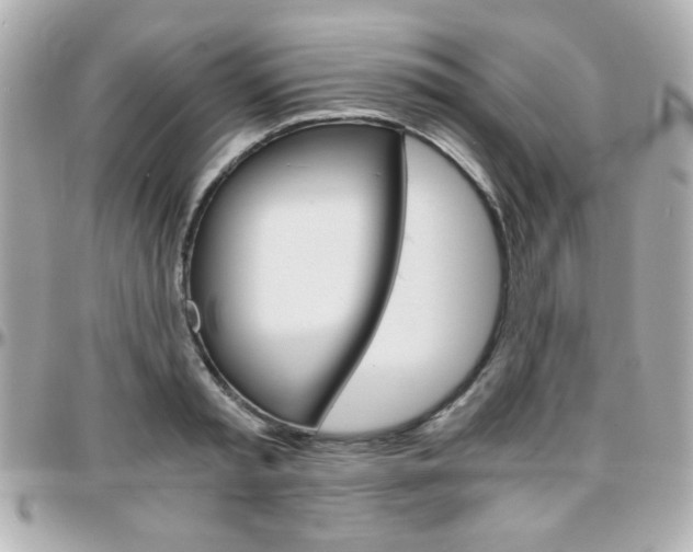 X0000096400797200801241002