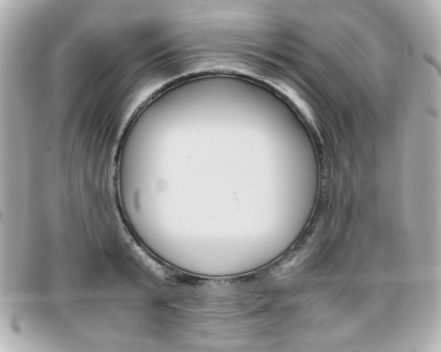 X0000096400799200801241002