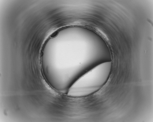 X0000096400800200801241002