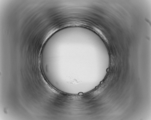X0000096400802200801241002
