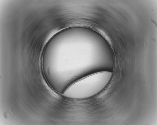 X0000096400803200801241002