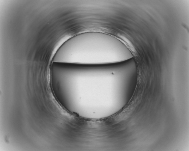 X0000096400804200801241002