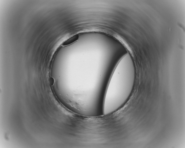 X0000096400805200801241002