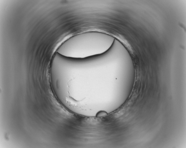 X0000096400806200801241002