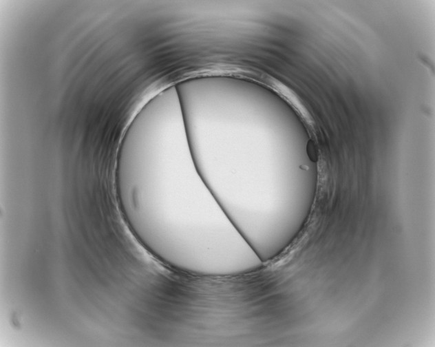 X0000096400810200801241002