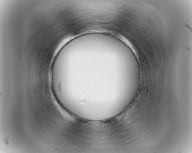 X0000096400811200801241002