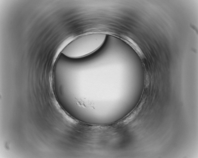 X0000096400812200801241002