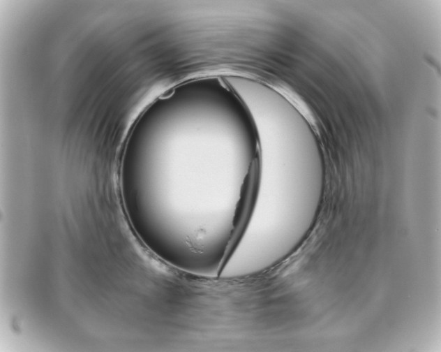 X0000096400813200801241002
