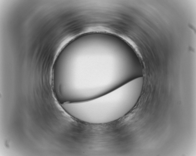 X0000096400815200801241002