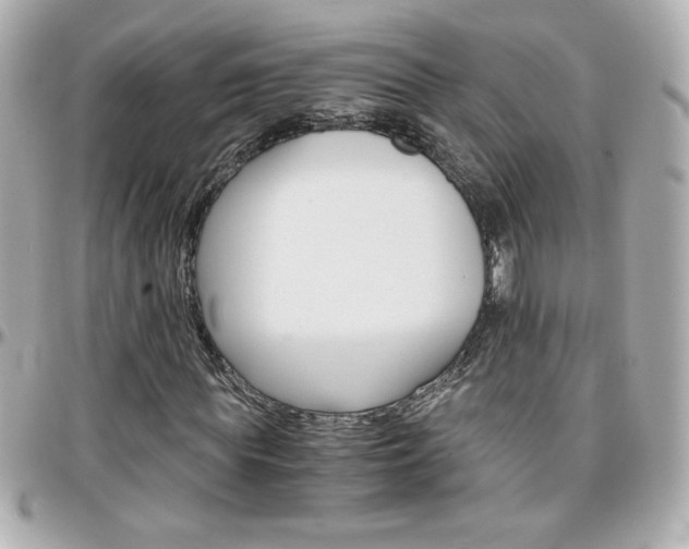 X0000096400819200801241002